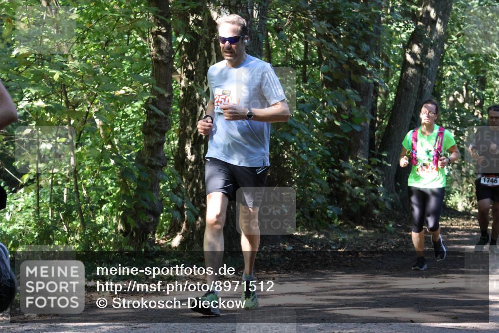 28.09.2025 - 33. Volkslauf durch das schöne Alstertal Strokosch-Dieckow http://msf.ph/oto/8971512 28.09.2025 12:15:45 Laufen 250, 1746 meine-sportfotos.de