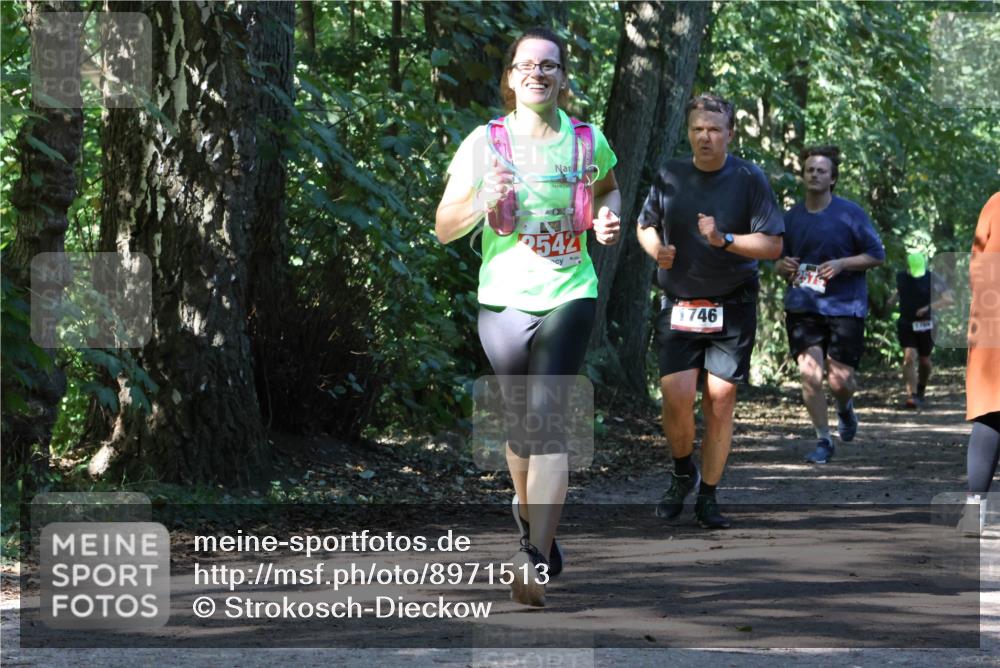 28.09.2025 - 33. Volkslauf durch das schöne Alstertal Strokosch-Dieckow http://msf.ph/oto/8971513 28.09.2025 12:15:46 Laufen 2542, 1746 meine-sportfotos.de