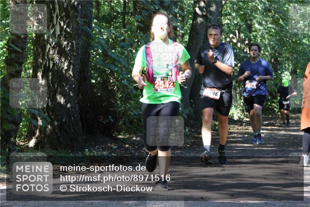 28.09.2025 - 33. Volkslauf durch das schöne Alstertal Strokosch-Dieckow http://msf.ph/oto/8971516 28.09.2025 12:15:47 Laufen 2542, 746 meine-sportfotos.de