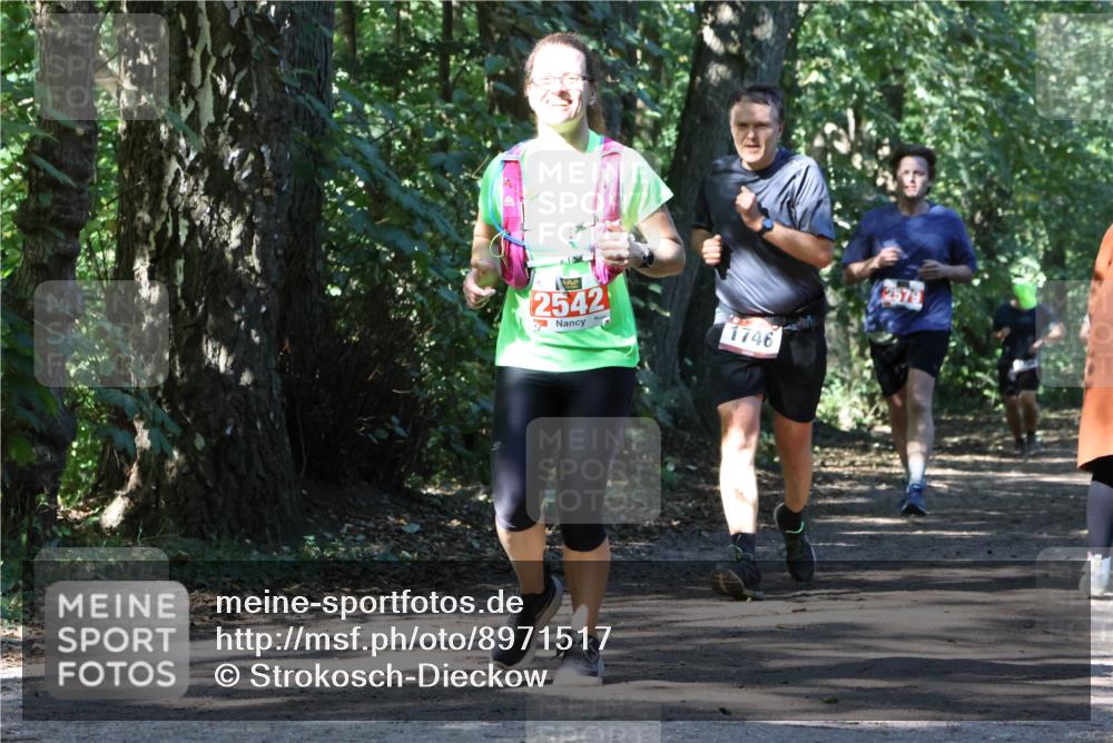 28.09.2025 - 33. Volkslauf durch das schöne Alstertal Strokosch-Dieckow http://msf.ph/oto/8971517 28.09.2025 12:15:47 Laufen 2542, 1746, 2579 meine-sportfotos.de