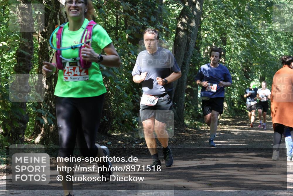 28.09.2025 - 33. Volkslauf durch das schöne Alstertal Strokosch-Dieckow http://msf.ph/oto/8971518 28.09.2025 12:15:48 Laufen 2542, 746 meine-sportfotos.de