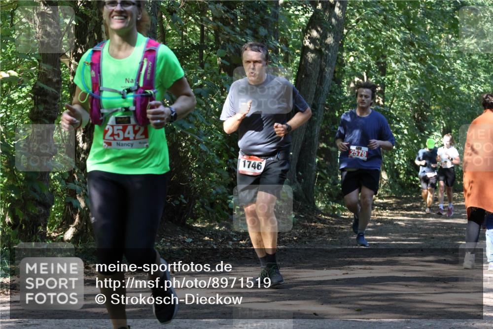 28.09.2025 - 33. Volkslauf durch das schöne Alstertal Strokosch-Dieckow http://msf.ph/oto/8971519 28.09.2025 12:15:48 Laufen 2542, 1746, 2579 meine-sportfotos.de