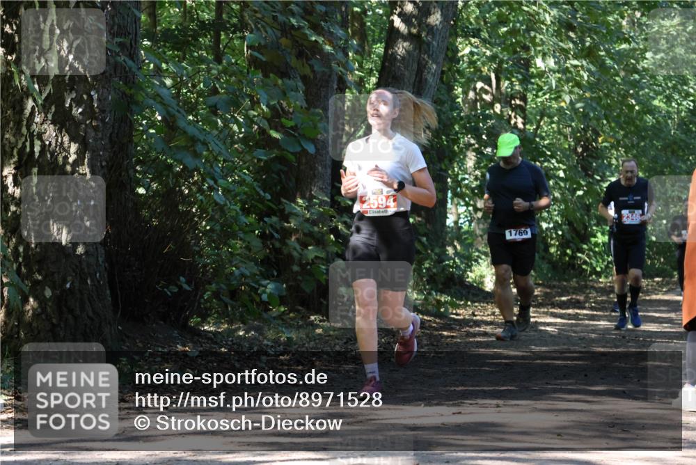 28.09.2025 - 33. Volkslauf durch das schöne Alstertal Strokosch-Dieckow http://msf.ph/oto/8971528 28.09.2025 12:15:54 Laufen 2594, 1769, 2346 meine-sportfotos.de