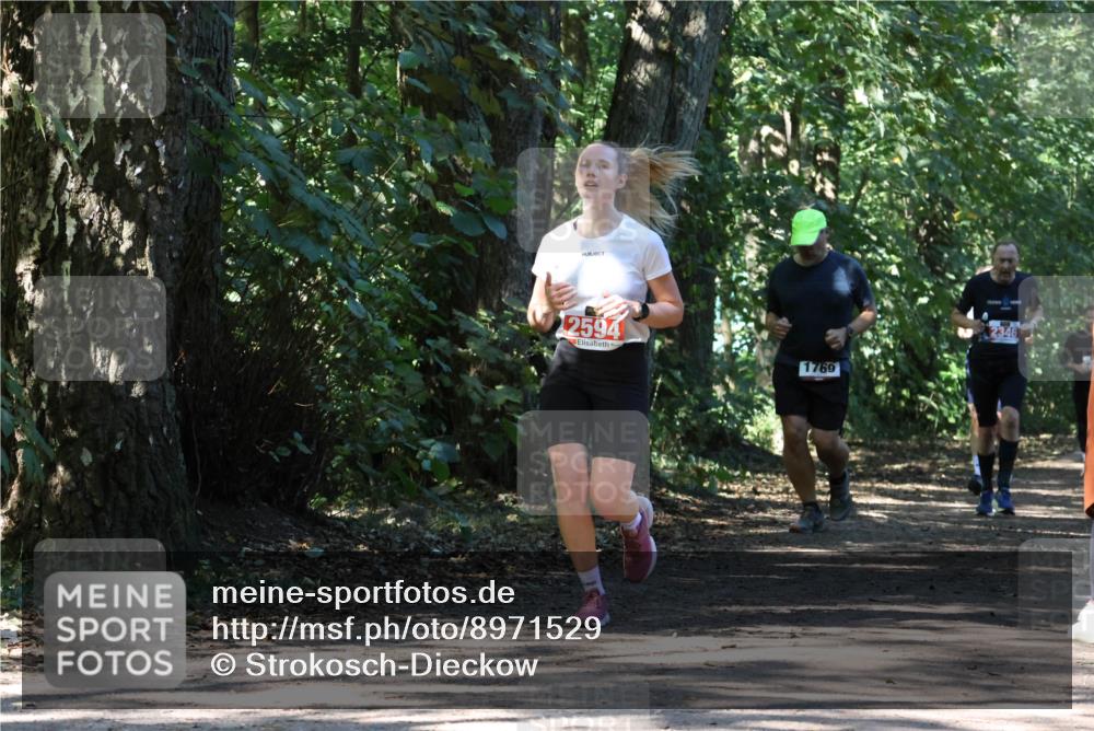 28.09.2025 - 33. Volkslauf durch das schöne Alstertal Strokosch-Dieckow http://msf.ph/oto/8971529 28.09.2025 12:15:54 Laufen 2594, 1769 meine-sportfotos.de