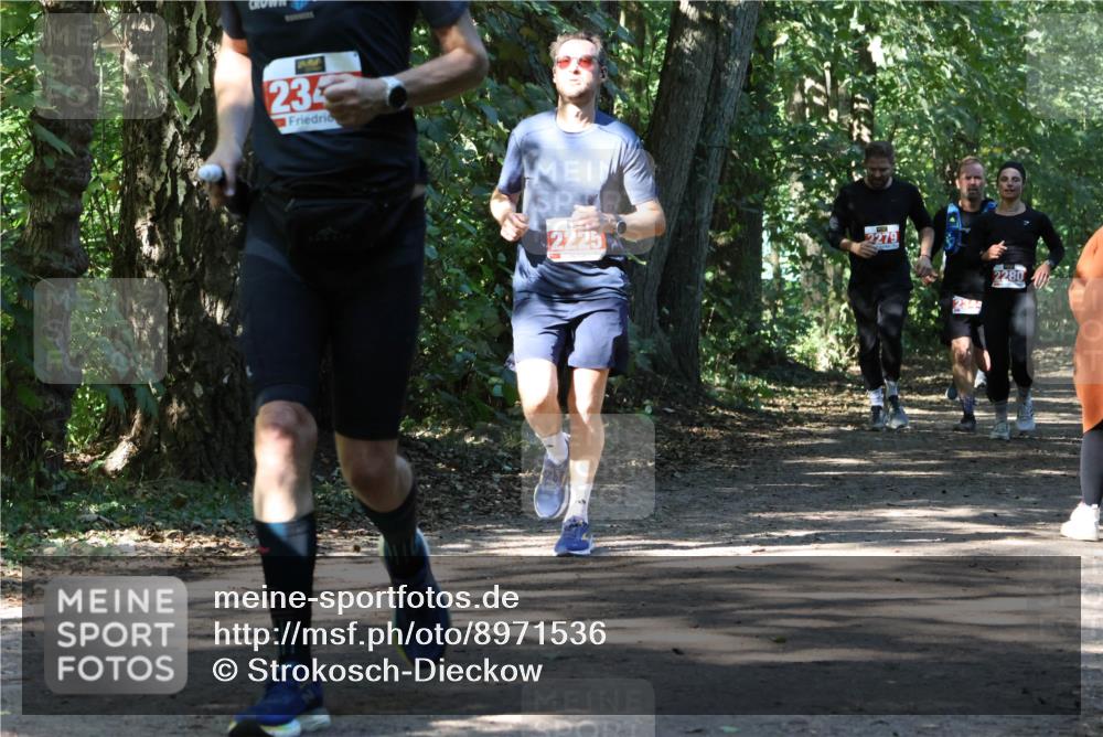 28.09.2025 - 33. Volkslauf durch das schöne Alstertal Strokosch-Dieckow http://msf.ph/oto/8971536 28.09.2025 12:16:01 Laufen 234, 2225, 2280 meine-sportfotos.de
