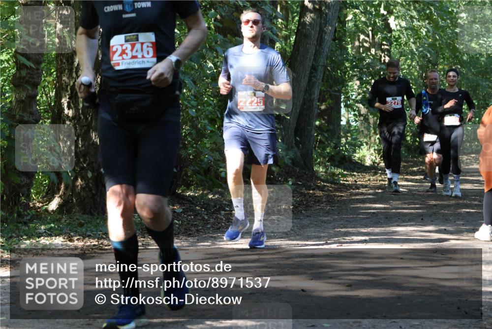 28.09.2025 - 33. Volkslauf durch das schöne Alstertal Strokosch-Dieckow http://msf.ph/oto/8971537 28.09.2025 12:16:01 Laufen 2346, 2225, 2279 meine-sportfotos.de