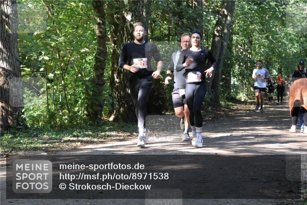 28.09.2025 - 33. Volkslauf durch das schöne Alstertal Strokosch-Dieckow http://msf.ph/oto/8971538 28.09.2025 12:16:05 Laufen 279, 2115 meine-sportfotos.de