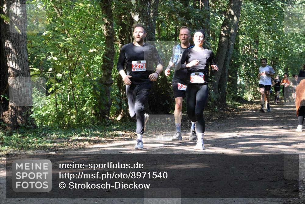 28.09.2025 - 33. Volkslauf durch das schöne Alstertal Strokosch-Dieckow http://msf.ph/oto/8971540 28.09.2025 12:16:06 Laufen 2279 meine-sportfotos.de