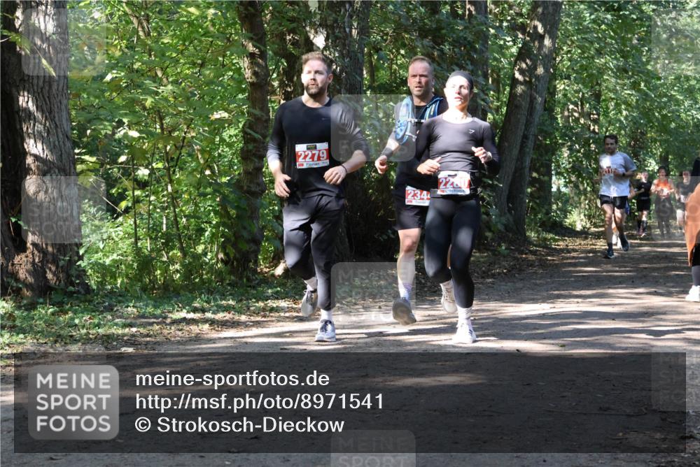 28.09.2025 - 33. Volkslauf durch das schöne Alstertal Strokosch-Dieckow http://msf.ph/oto/8971541 28.09.2025 12:16:06 Laufen 2279, 234 meine-sportfotos.de