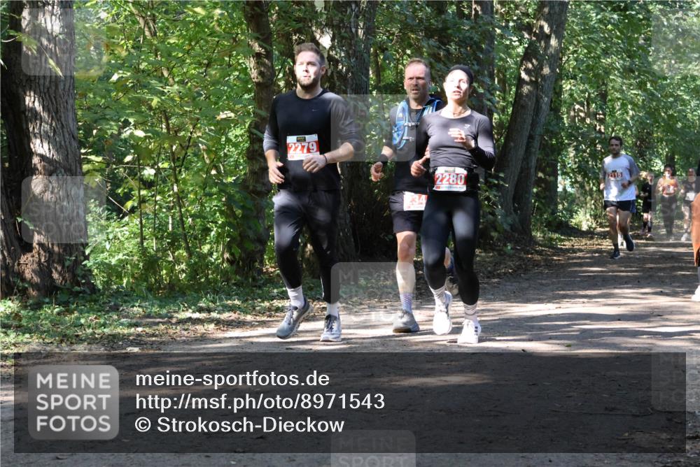 28.09.2025 - 33. Volkslauf durch das schöne Alstertal Strokosch-Dieckow http://msf.ph/oto/8971543 28.09.2025 12:16:06 Laufen 2279, 2115, 2280 meine-sportfotos.de