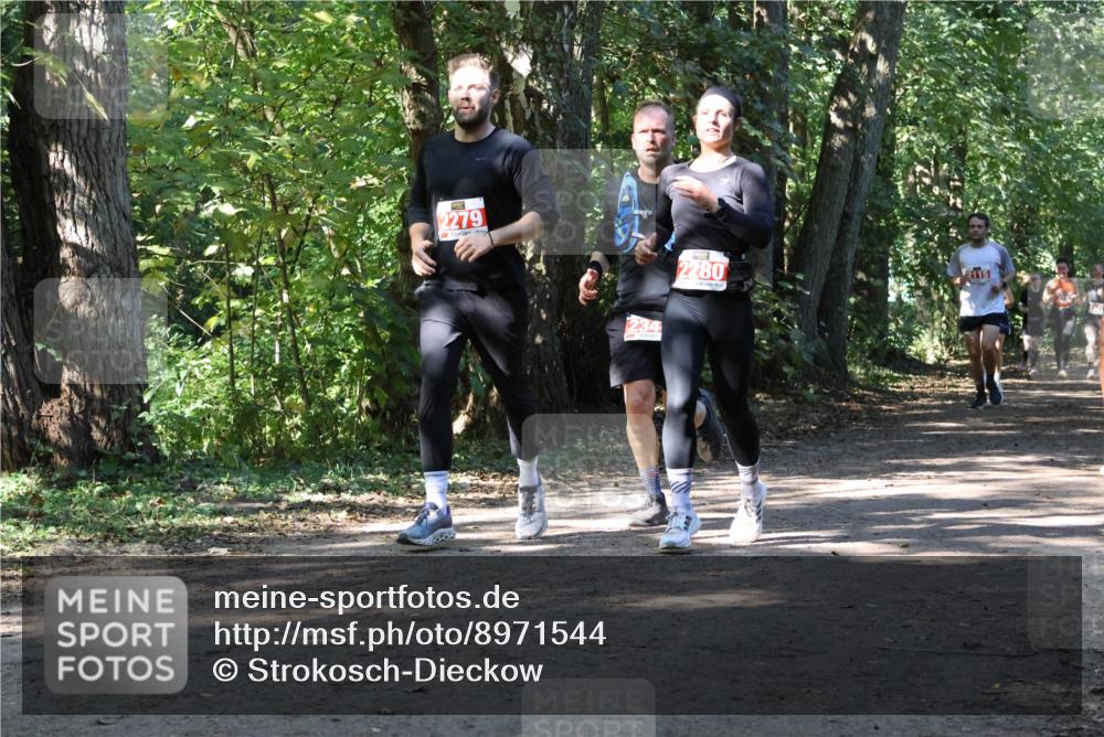 28.09.2025 - 33. Volkslauf durch das schöne Alstertal Strokosch-Dieckow http://msf.ph/oto/8971544 28.09.2025 12:16:06 Laufen 2279, 234, 2280, 2115 meine-sportfotos.de