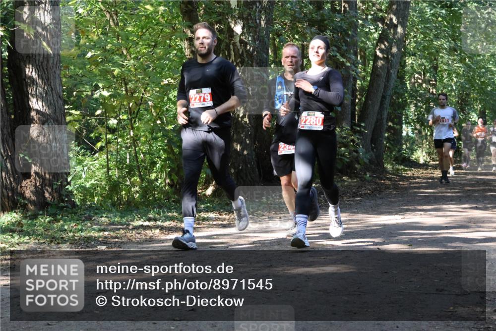 28.09.2025 - 33. Volkslauf durch das schöne Alstertal Strokosch-Dieckow http://msf.ph/oto/8971545 28.09.2025 12:16:06 Laufen 2279, 234, 2280, 2115 meine-sportfotos.de