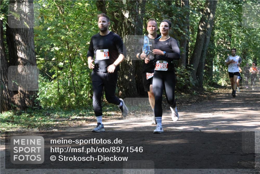 28.09.2025 - 33. Volkslauf durch das schöne Alstertal Strokosch-Dieckow http://msf.ph/oto/8971546 28.09.2025 12:16:06 Laufen 79, 2280, 2115 meine-sportfotos.de