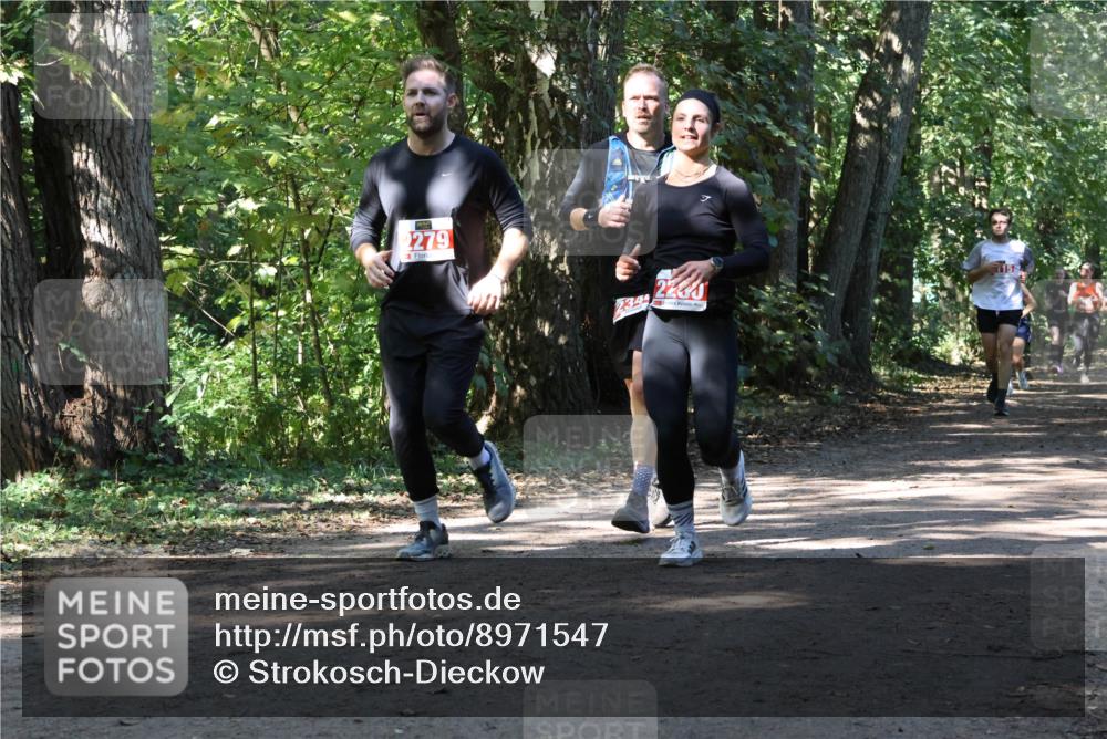 28.09.2025 - 33. Volkslauf durch das schöne Alstertal Strokosch-Dieckow http://msf.ph/oto/8971547 28.09.2025 12:16:06 Laufen 2279, 2345, 115 meine-sportfotos.de