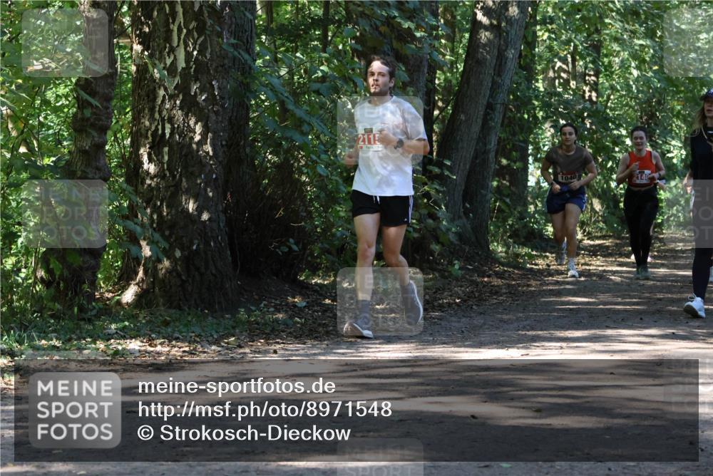 28.09.2025 - 33. Volkslauf durch das schöne Alstertal Strokosch-Dieckow http://msf.ph/oto/8971548 28.09.2025 12:16:09 Laufen 2115, 1040, 2140 meine-sportfotos.de