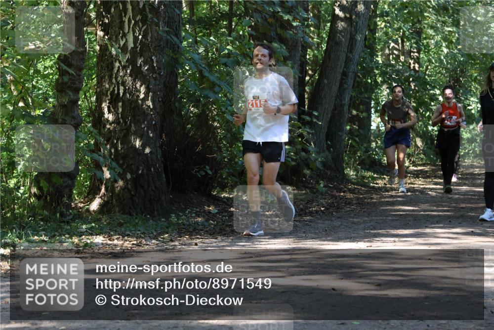 28.09.2025 - 33. Volkslauf durch das schöne Alstertal Strokosch-Dieckow http://msf.ph/oto/8971549 28.09.2025 12:16:09 Laufen 2115 meine-sportfotos.de