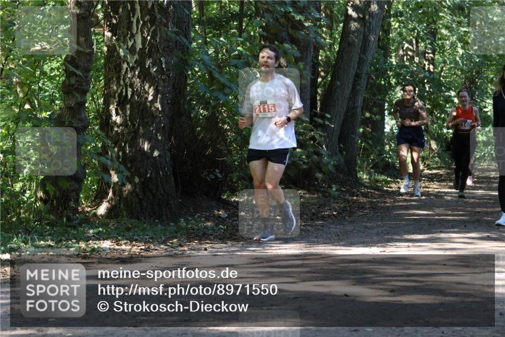 28.09.2025 - 33. Volkslauf durch das schöne Alstertal Strokosch-Dieckow http://msf.ph/oto/8971550 28.09.2025 12:16:09 Laufen 2115, 140 meine-sportfotos.de