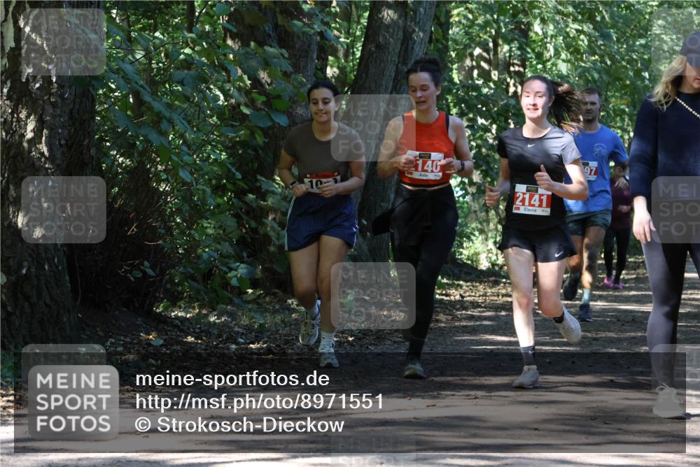 28.09.2025 - 33. Volkslauf durch das schöne Alstertal Strokosch-Dieckow http://msf.ph/oto/8971551 28.09.2025 12:16:13 Laufen 2146, 2141, 3, 97 meine-sportfotos.de