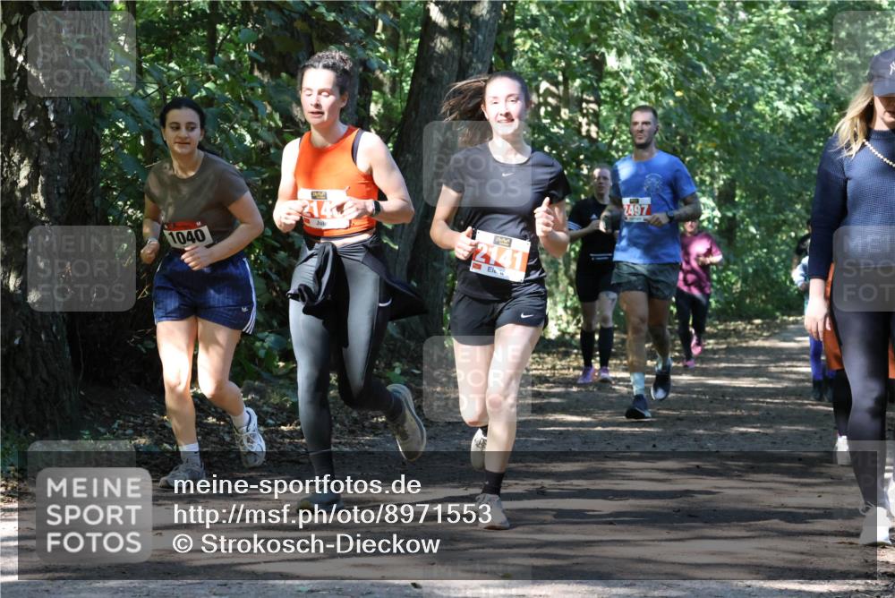 28.09.2025 - 33. Volkslauf durch das schöne Alstertal Strokosch-Dieckow http://msf.ph/oto/8971553 28.09.2025 12:16:14 Laufen 1040, 214, 2141, 2497 meine-sportfotos.de