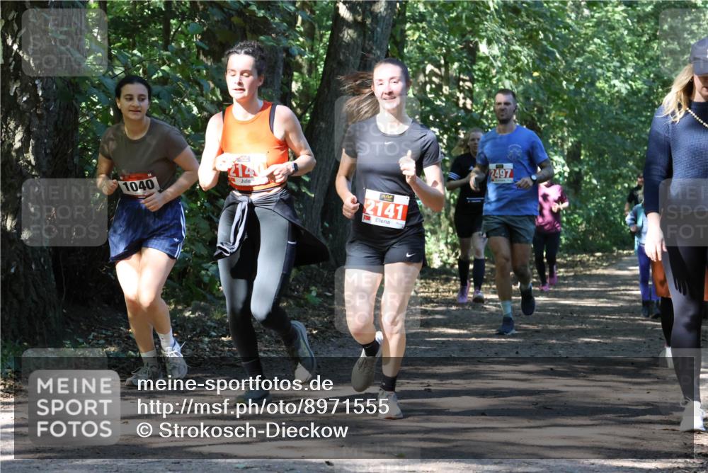 28.09.2025 - 33. Volkslauf durch das schöne Alstertal Strokosch-Dieckow http://msf.ph/oto/8971555 28.09.2025 12:16:14 Laufen 1040, 2141, 2497 meine-sportfotos.de