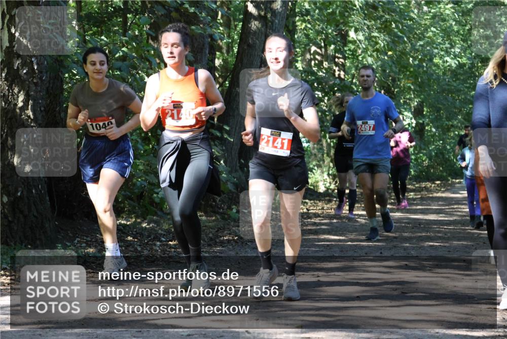 28.09.2025 - 33. Volkslauf durch das schöne Alstertal Strokosch-Dieckow http://msf.ph/oto/8971556 28.09.2025 12:16:14 Laufen 1040, 2140, 2141, 3, 2497 meine-sportfotos.de