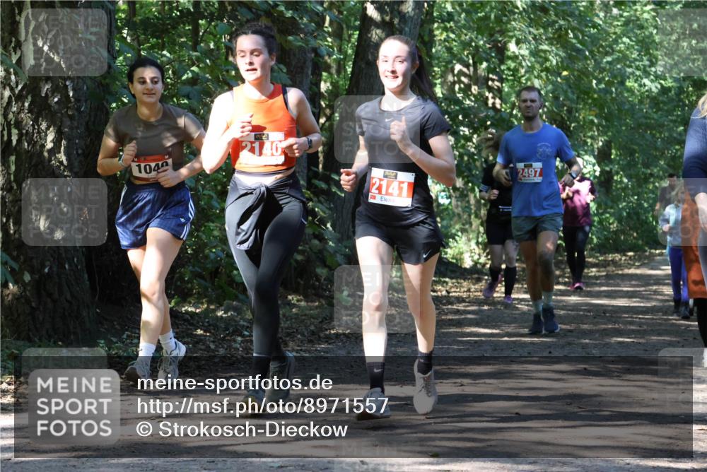28.09.2025 - 33. Volkslauf durch das schöne Alstertal Strokosch-Dieckow http://msf.ph/oto/8971557 28.09.2025 12:16:14 Laufen 1040, 2141, 2497 meine-sportfotos.de