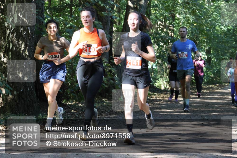 28.09.2025 - 33. Volkslauf durch das schöne Alstertal Strokosch-Dieckow http://msf.ph/oto/8971558 28.09.2025 12:16:14 Laufen 1040, 2140, 2141, 2497 meine-sportfotos.de