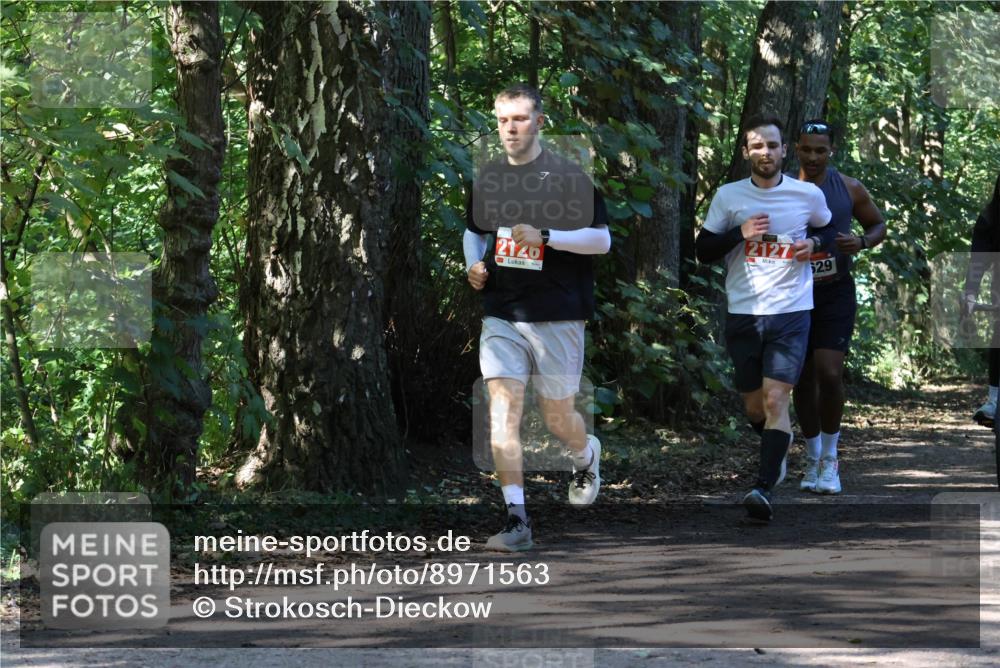 28.09.2025 - 33. Volkslauf durch das schöne Alstertal Strokosch-Dieckow http://msf.ph/oto/8971563 28.09.2025 12:16:48 Laufen 2126, 29 meine-sportfotos.de