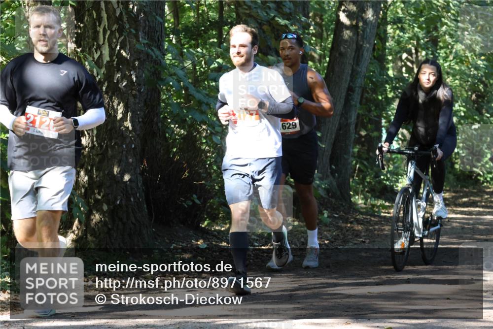 28.09.2025 - 33. Volkslauf durch das schöne Alstertal Strokosch-Dieckow http://msf.ph/oto/8971567 28.09.2025 12:16:49 Laufen 212, 629 meine-sportfotos.de