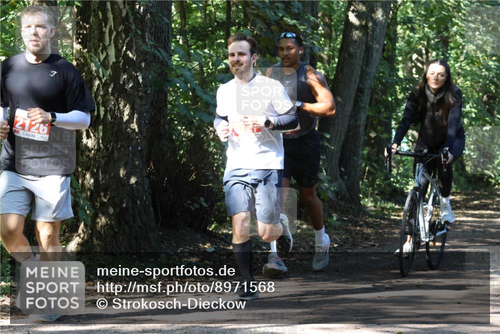 28.09.2025 - 33. Volkslauf durch das schöne Alstertal Strokosch-Dieckow http://msf.ph/oto/8971568 28.09.2025 12:16:50 Laufen 7, 2126 meine-sportfotos.de