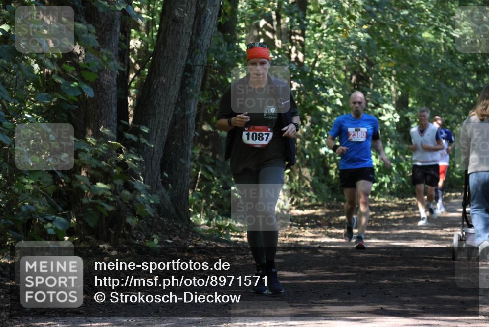 28.09.2025 - 33. Volkslauf durch das schöne Alstertal Strokosch-Dieckow http://msf.ph/oto/8971571 28.09.2025 12:16:58 Laufen 1087, 2380 meine-sportfotos.de