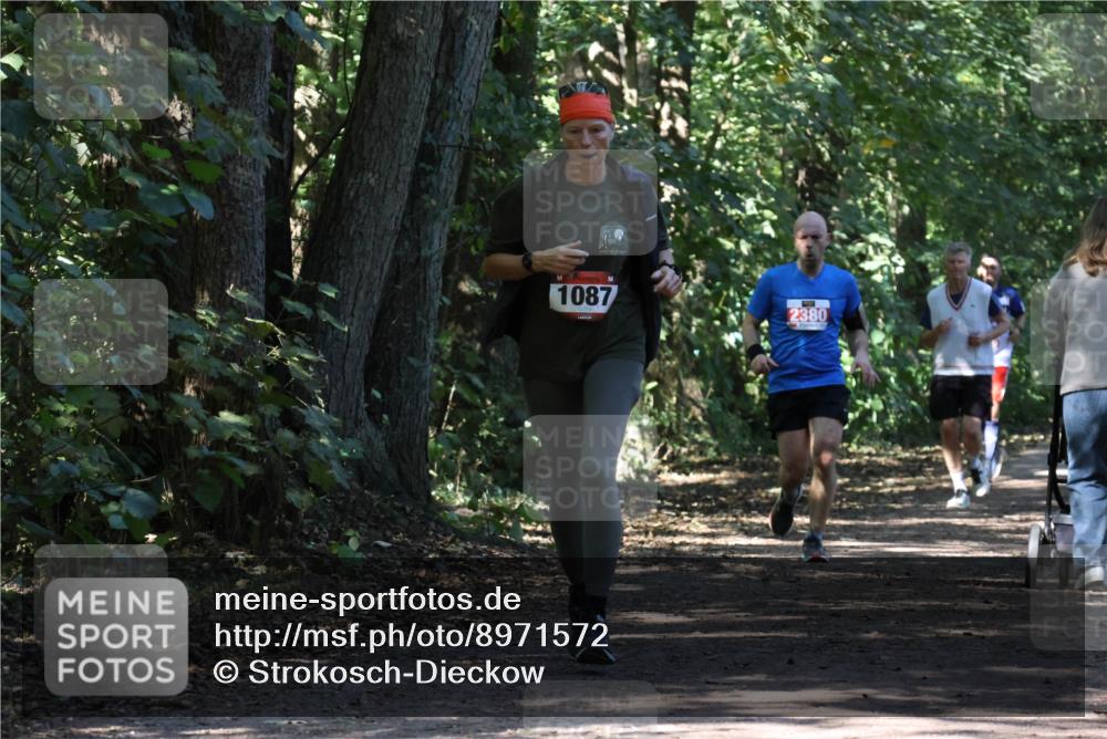 28.09.2025 - 33. Volkslauf durch das schöne Alstertal Strokosch-Dieckow http://msf.ph/oto/8971572 28.09.2025 12:16:58 Laufen 1087, 2380 meine-sportfotos.de