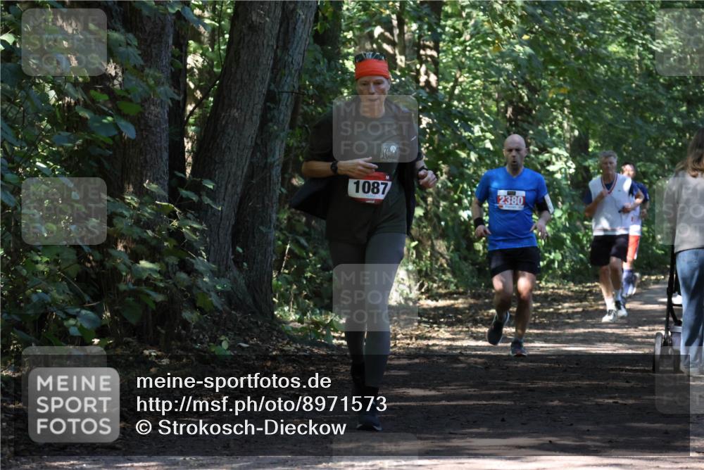 28.09.2025 - 33. Volkslauf durch das schöne Alstertal Strokosch-Dieckow http://msf.ph/oto/8971573 28.09.2025 12:16:59 Laufen 1087, 2380 meine-sportfotos.de
