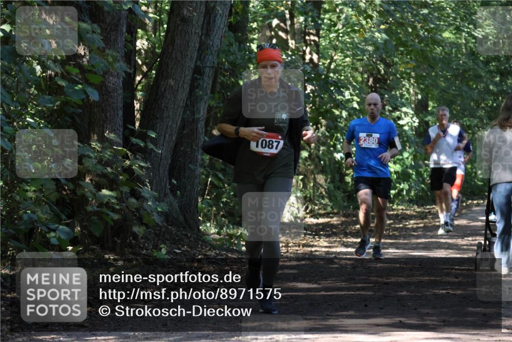 28.09.2025 - 33. Volkslauf durch das schöne Alstertal Strokosch-Dieckow http://msf.ph/oto/8971575 28.09.2025 12:16:59 Laufen 1087, 2380 meine-sportfotos.de
