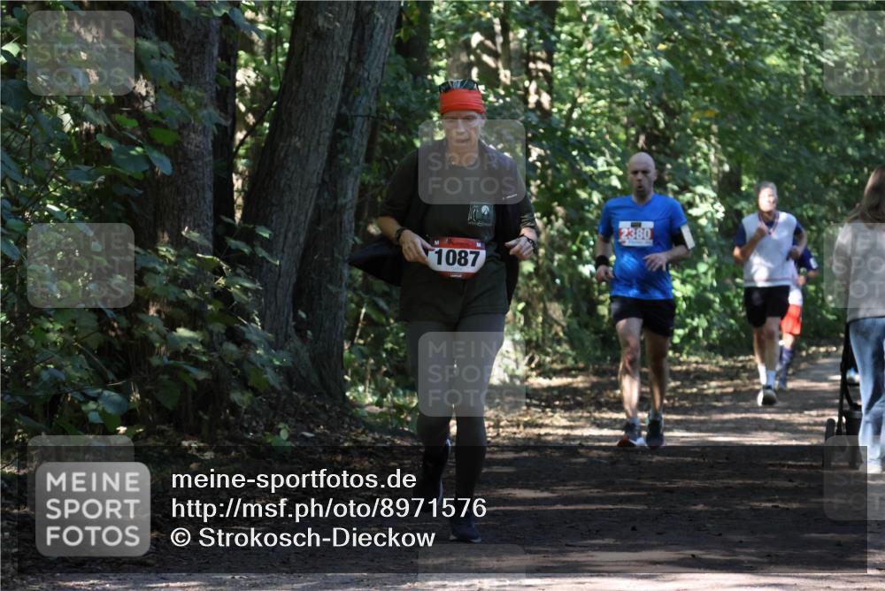 28.09.2025 - 33. Volkslauf durch das schöne Alstertal Strokosch-Dieckow http://msf.ph/oto/8971576 28.09.2025 12:16:59 Laufen 1087, 2380 meine-sportfotos.de