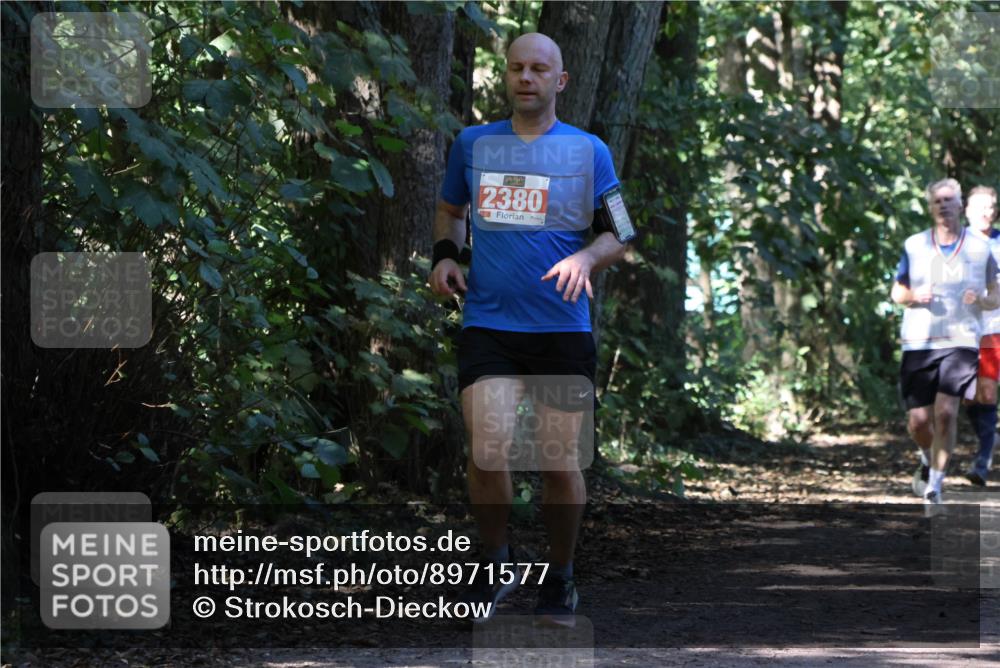 28.09.2025 - 33. Volkslauf durch das schöne Alstertal Strokosch-Dieckow http://msf.ph/oto/8971577 28.09.2025 12:17:03 Laufen 2380 meine-sportfotos.de