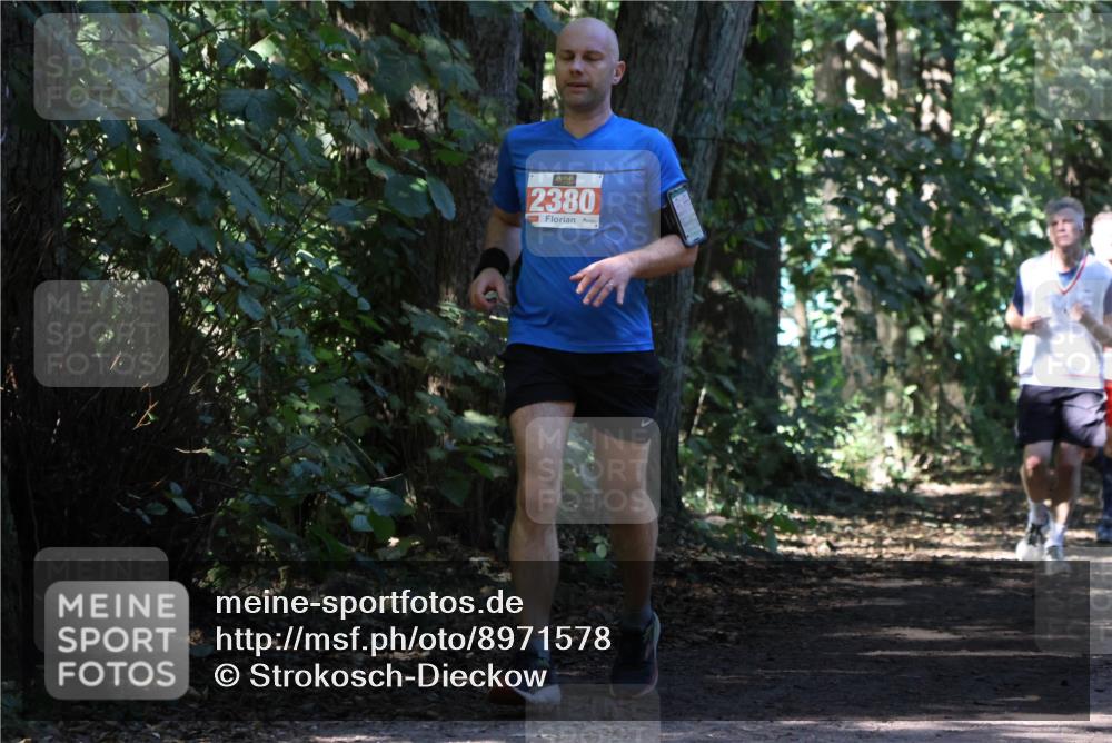 28.09.2025 - 33. Volkslauf durch das schöne Alstertal Strokosch-Dieckow http://msf.ph/oto/8971578 28.09.2025 12:17:03 Laufen 2380 meine-sportfotos.de