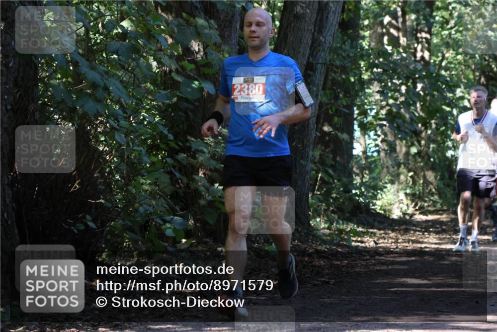28.09.2025 - 33. Volkslauf durch das schöne Alstertal Strokosch-Dieckow http://msf.ph/oto/8971579 28.09.2025 12:17:03 Laufen 2380 meine-sportfotos.de