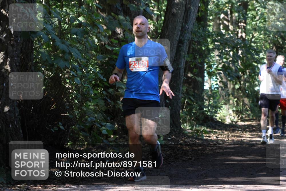 28.09.2025 - 33. Volkslauf durch das schöne Alstertal Strokosch-Dieckow http://msf.ph/oto/8971581 28.09.2025 12:17:03 Laufen 2380 meine-sportfotos.de