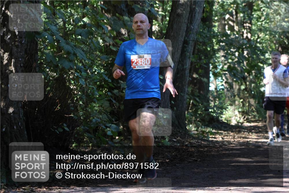 28.09.2025 - 33. Volkslauf durch das schöne Alstertal Strokosch-Dieckow http://msf.ph/oto/8971582 28.09.2025 12:17:03 Laufen 2380 meine-sportfotos.de