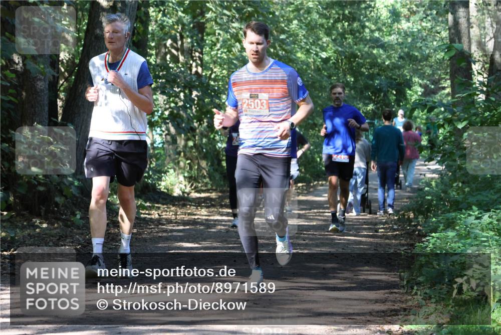 28.09.2025 - 33. Volkslauf durch das schöne Alstertal Strokosch-Dieckow http://msf.ph/oto/8971589 28.09.2025 12:17:10 Laufen 2503, 410 meine-sportfotos.de