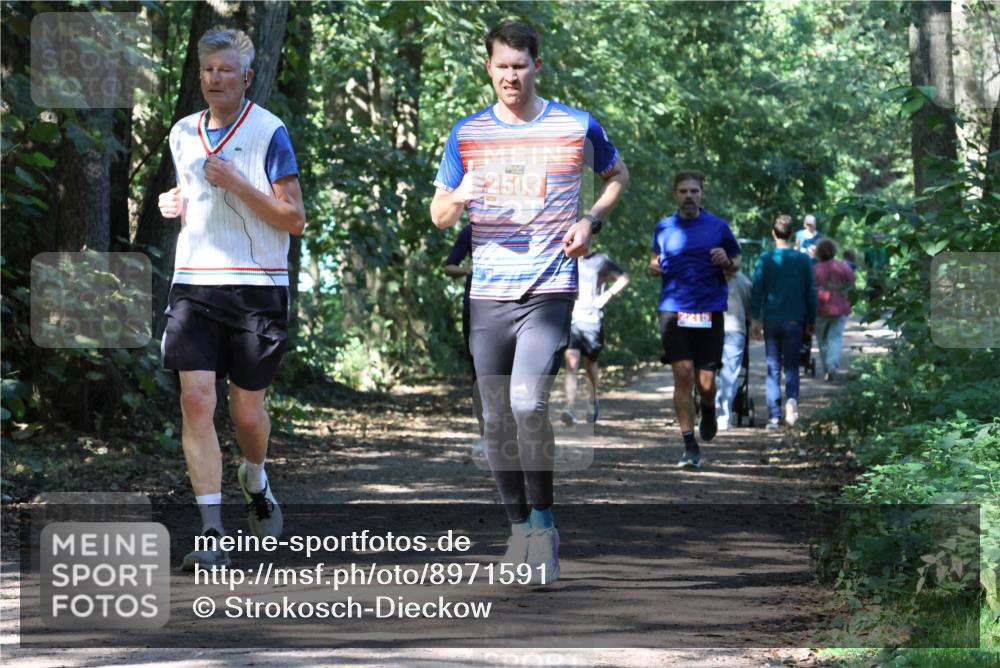 28.09.2025 - 33. Volkslauf durch das schöne Alstertal Strokosch-Dieckow http://msf.ph/oto/8971591 28.09.2025 12:17:10 Laufen 2503, 15 meine-sportfotos.de