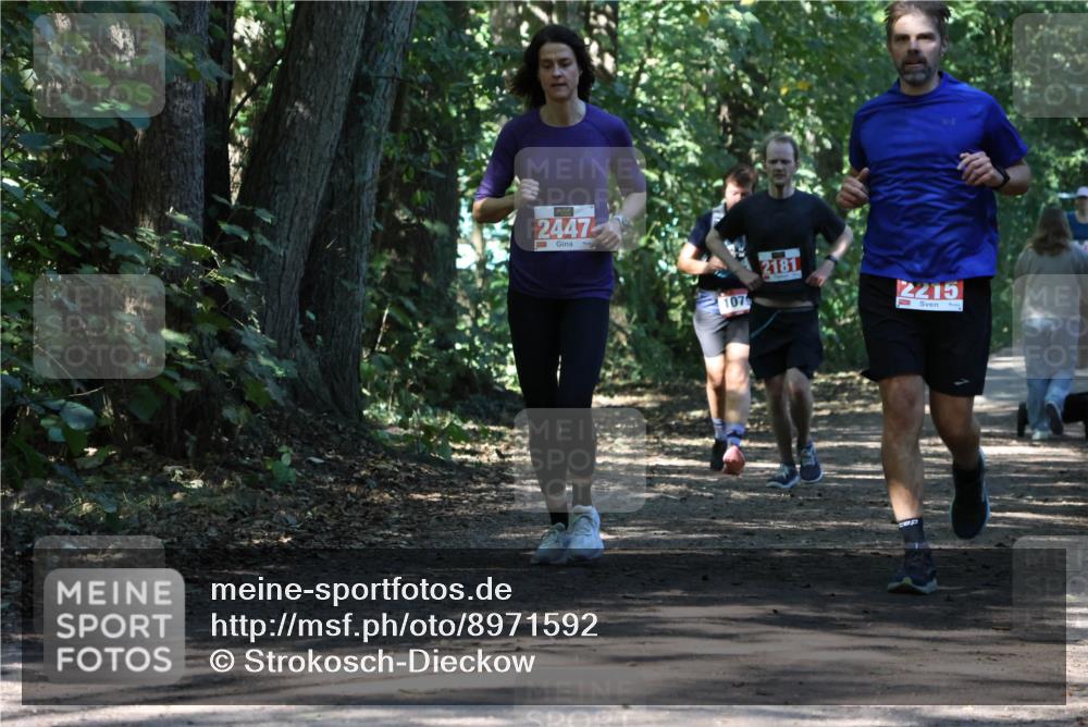 28.09.2025 - 33. Volkslauf durch das schöne Alstertal Strokosch-Dieckow http://msf.ph/oto/8971592 28.09.2025 12:17:13 Laufen 2447, 107, 2181, 2215 meine-sportfotos.de