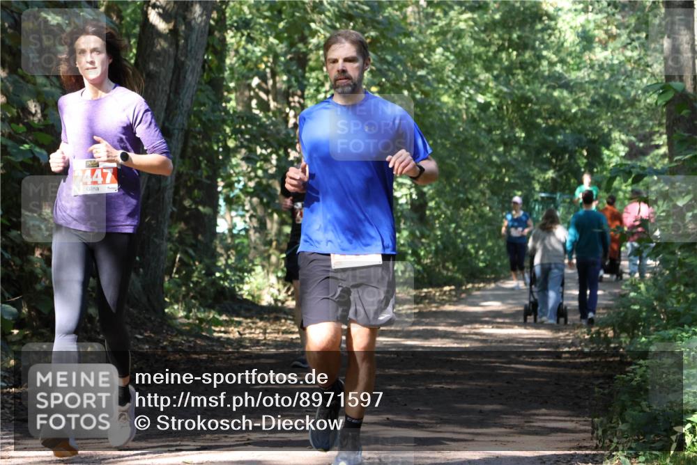 28.09.2025 - 33. Volkslauf durch das schöne Alstertal Strokosch-Dieckow http://msf.ph/oto/8971597 28.09.2025 12:17:15 Laufen 2447 meine-sportfotos.de