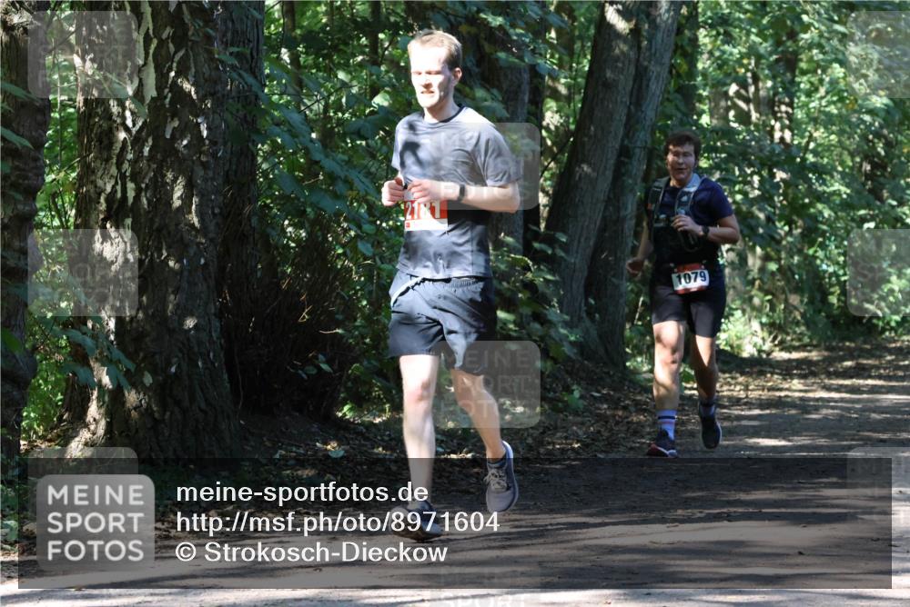 28.09.2025 - 33. Volkslauf durch das schöne Alstertal Strokosch-Dieckow http://msf.ph/oto/8971604 28.09.2025 12:17:18 Laufen 2181, 1079 meine-sportfotos.de
