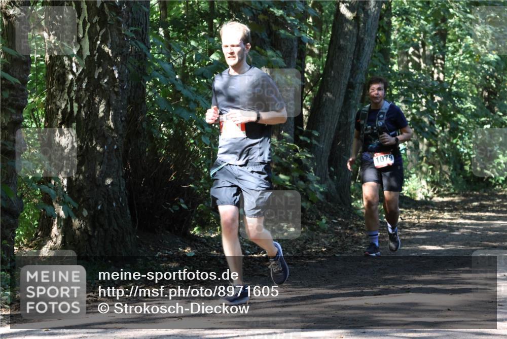 28.09.2025 - 33. Volkslauf durch das schöne Alstertal Strokosch-Dieckow http://msf.ph/oto/8971605 28.09.2025 12:17:18 Laufen 1079 meine-sportfotos.de