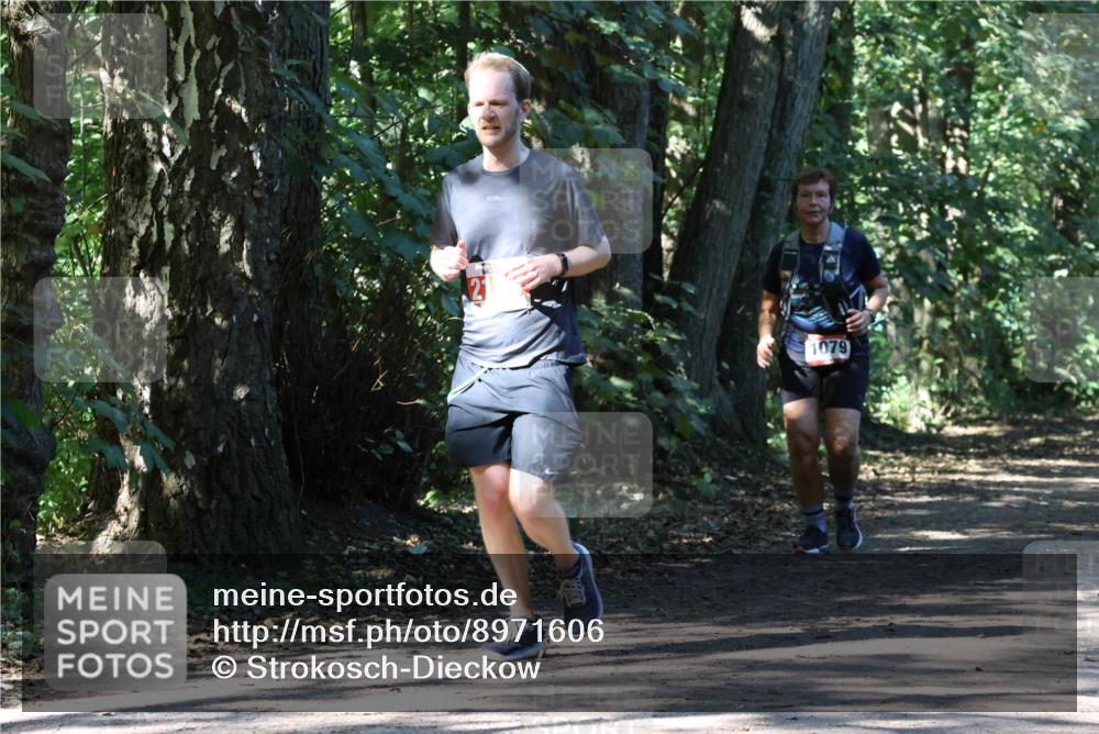 28.09.2025 - 33. Volkslauf durch das schöne Alstertal Strokosch-Dieckow http://msf.ph/oto/8971606 28.09.2025 12:17:18 Laufen 1079 meine-sportfotos.de