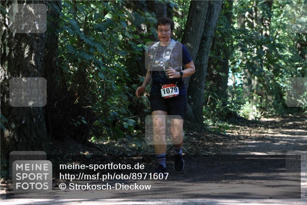 28.09.2025 - 33. Volkslauf durch das schöne Alstertal Strokosch-Dieckow http://msf.ph/oto/8971607 28.09.2025 12:17:19 Laufen 1079 meine-sportfotos.de