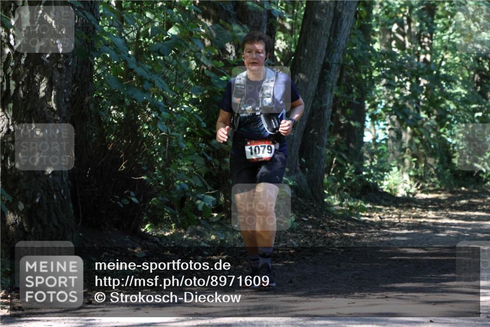 28.09.2025 - 33. Volkslauf durch das schöne Alstertal Strokosch-Dieckow http://msf.ph/oto/8971609 28.09.2025 12:17:19 Laufen 1079 meine-sportfotos.de