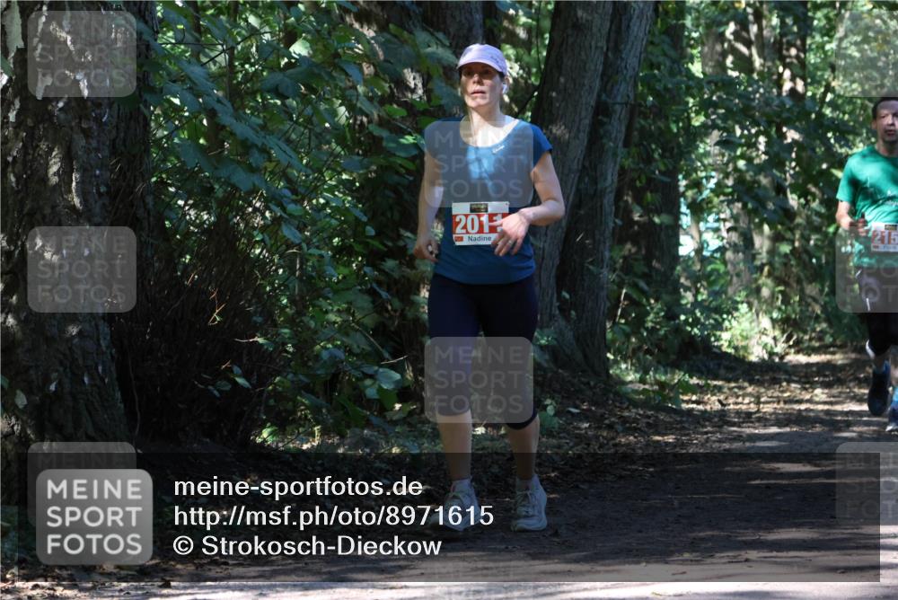 28.09.2025 - 33. Volkslauf durch das schöne Alstertal Strokosch-Dieckow http://msf.ph/oto/8971615 28.09.2025 12:17:28 Laufen 201, 215 meine-sportfotos.de